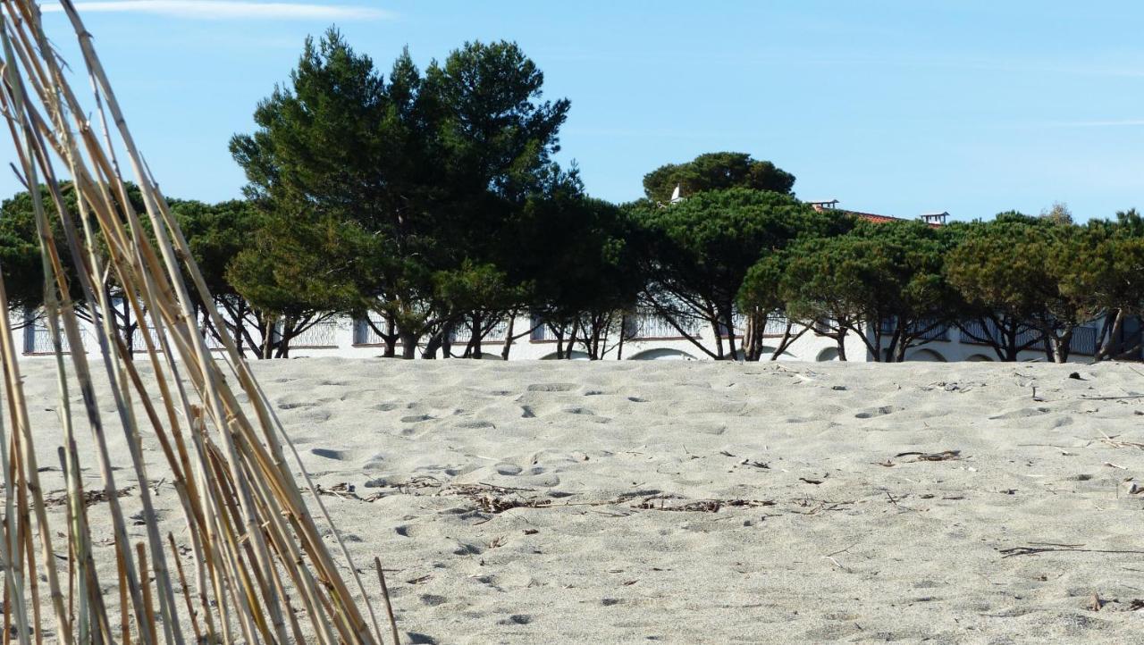 Belle Vue Sur Mer Au Calme Argelès-sur-Mer Zewnętrze zdjęcie
