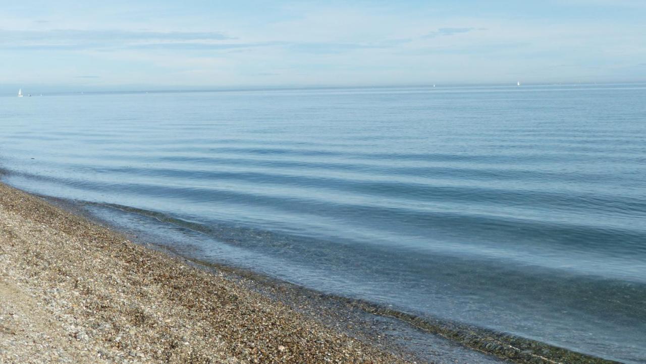Belle Vue Sur Mer Au Calme Argelès-sur-Mer Zewnętrze zdjęcie