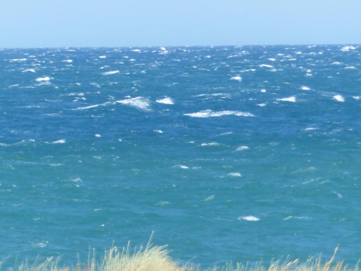 Belle Vue Sur Mer Au Calme Argelès-sur-Mer Zewnętrze zdjęcie